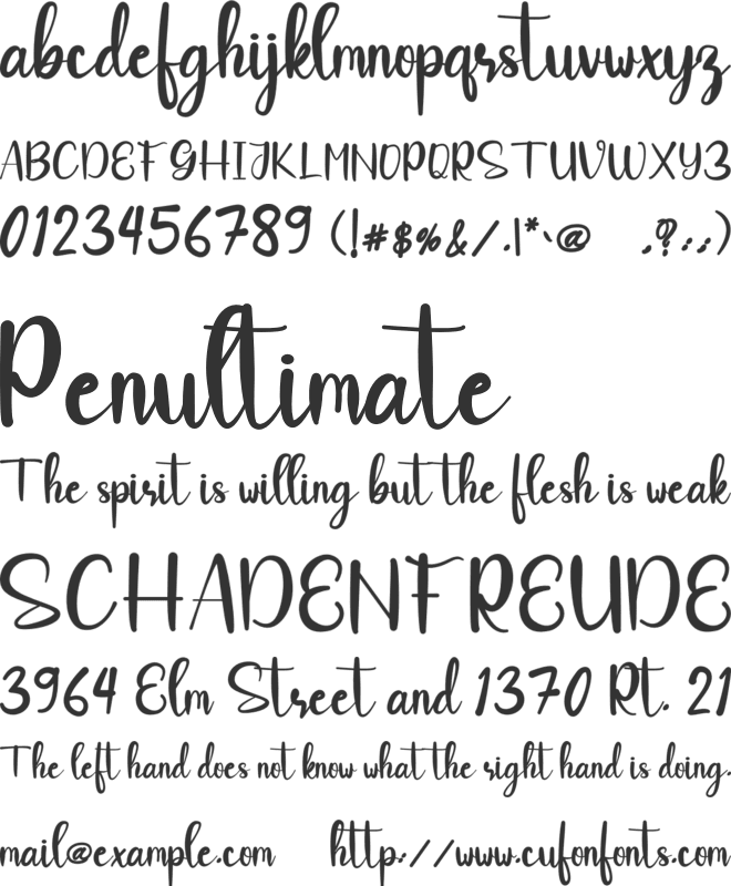 Paradise font preview