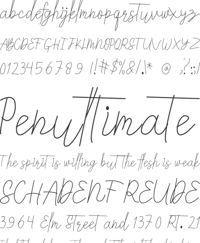 Signature Font font preview