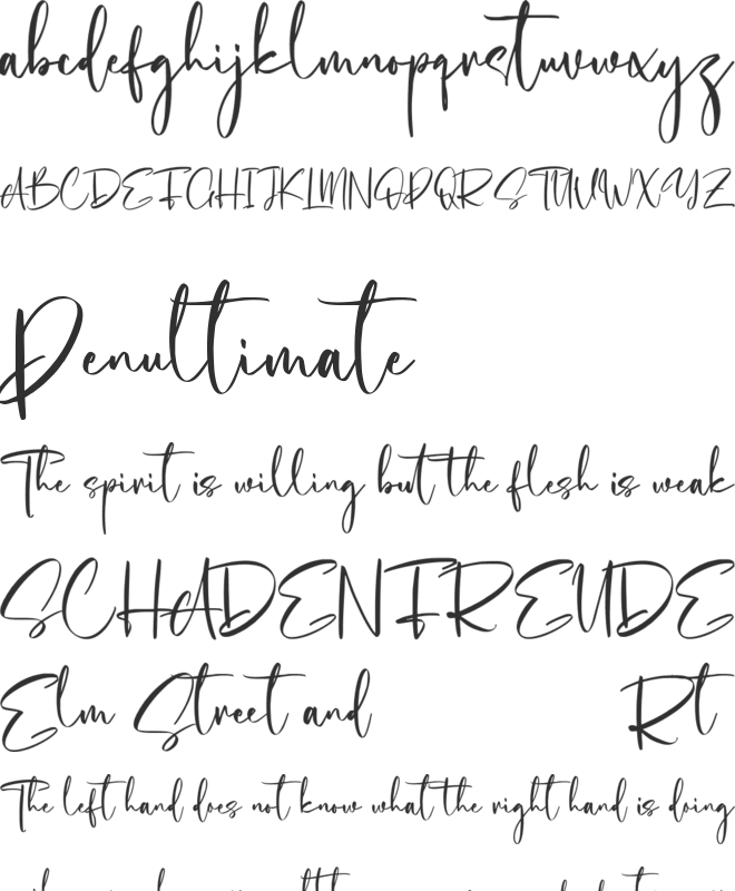 Cholasette Free font preview