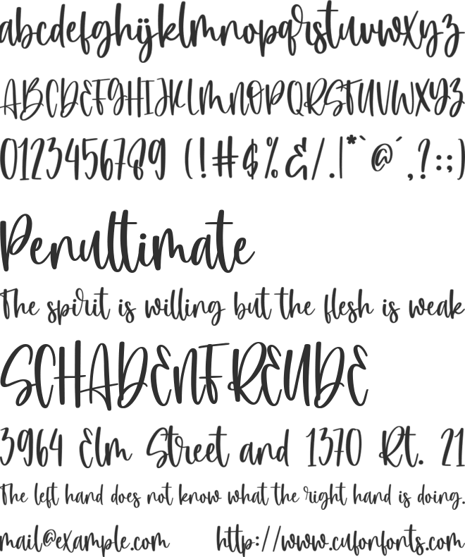 winterland font preview
