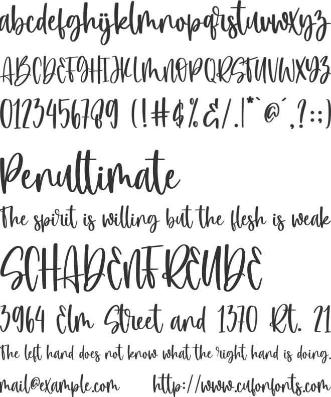 winterland font preview