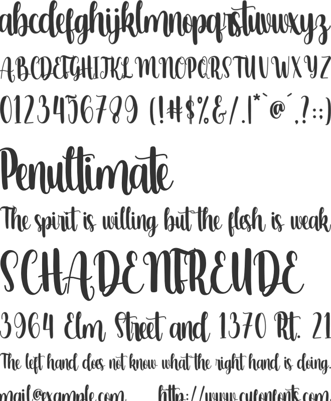 milkshake font preview