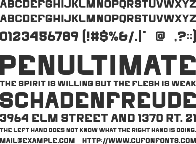 Bucking font preview