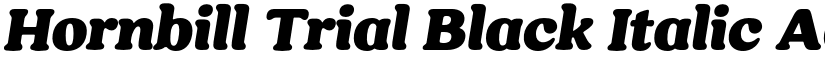 Hornbill Trial Black Italic font