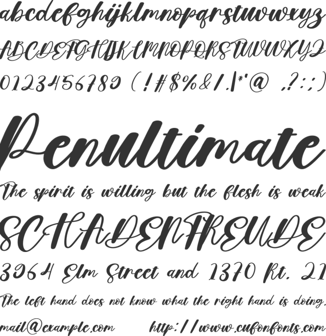 Calligrapher font preview