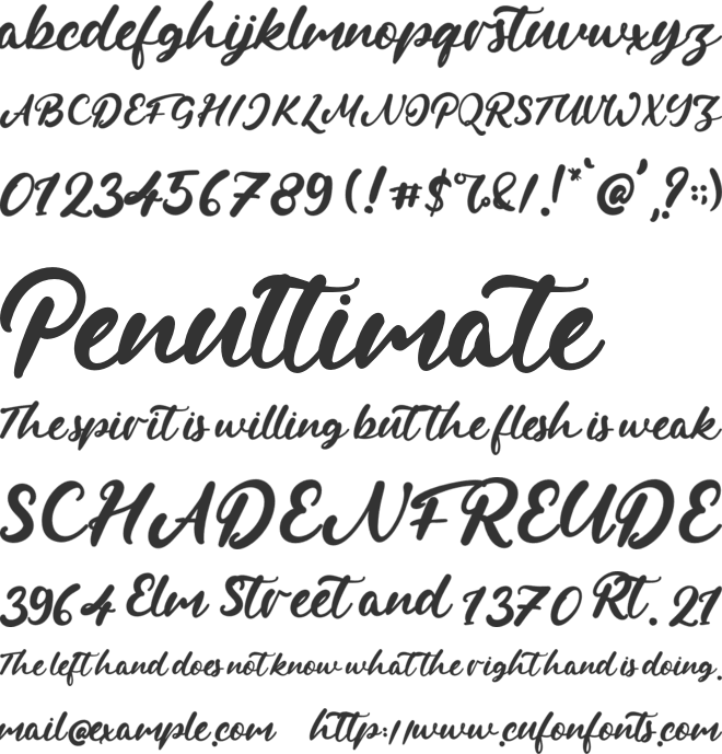 Rachelle Stern font preview