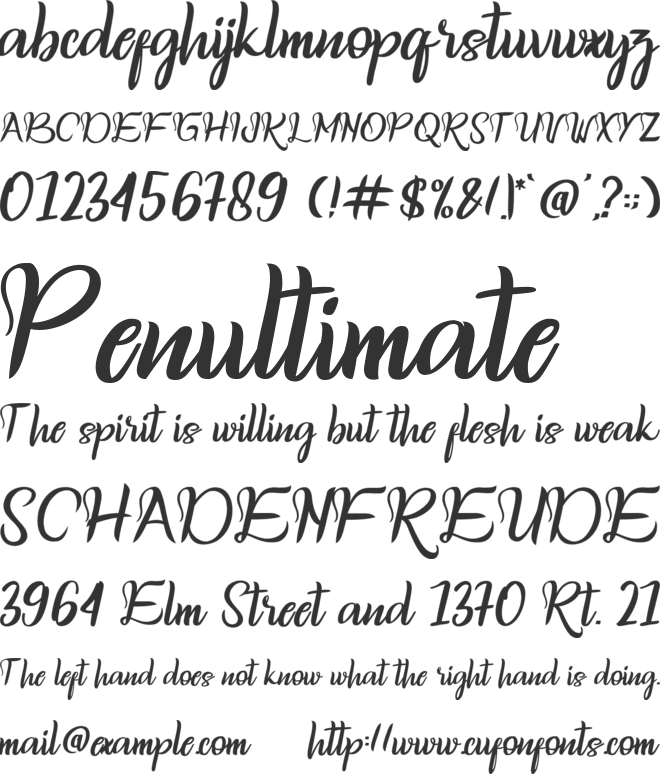 Raidye font preview