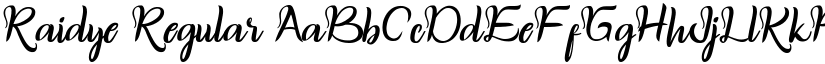 Raidye font download