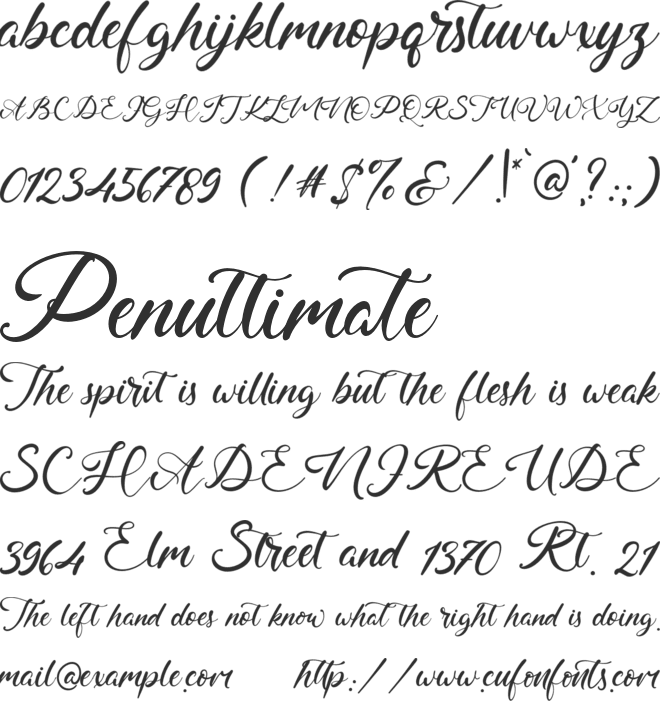 Thomas Charly font preview