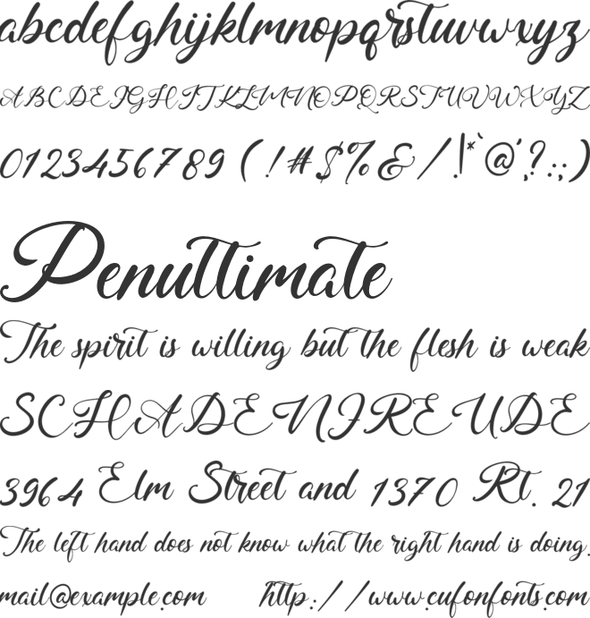 Thomas Charly font preview