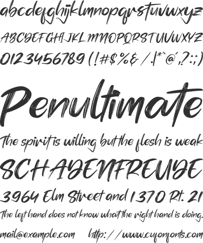 Simphony Brushe font preview