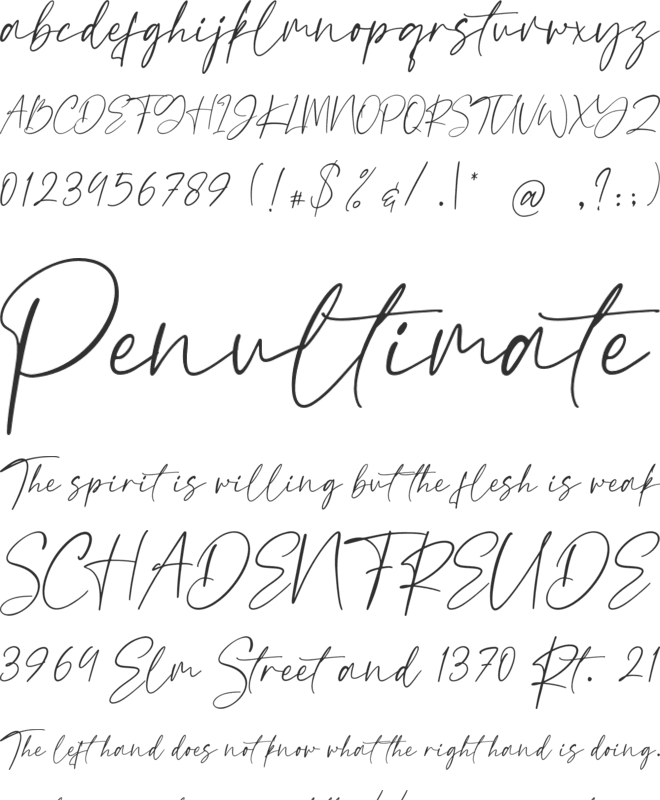 Borderline Free Personal Use font preview