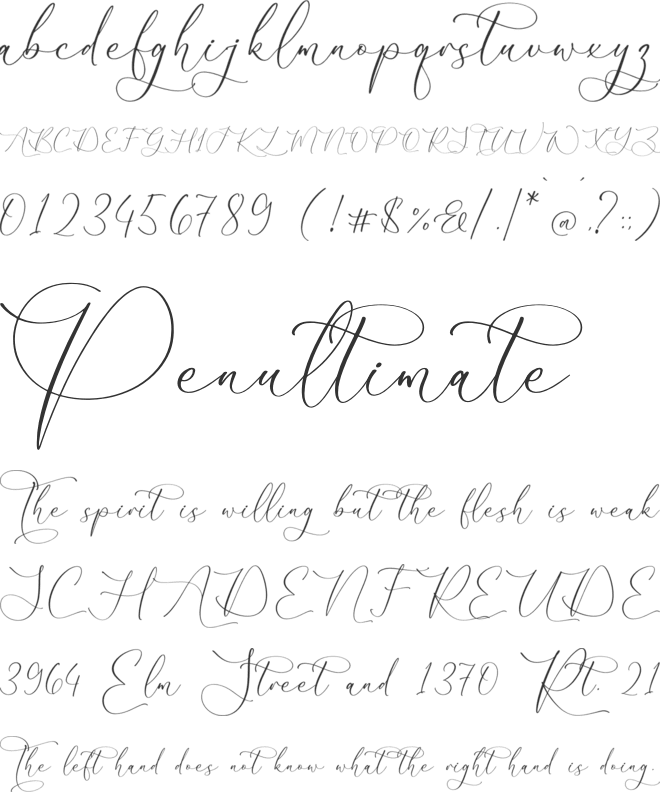 Gutierha Pattery font preview