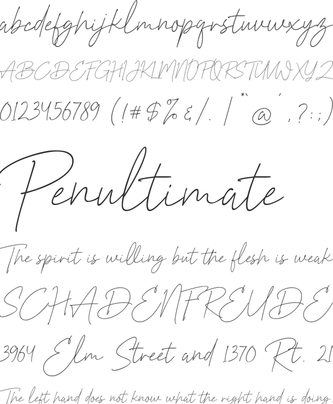 Prettier Script font preview