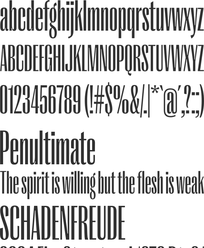PP Right Gothic font preview