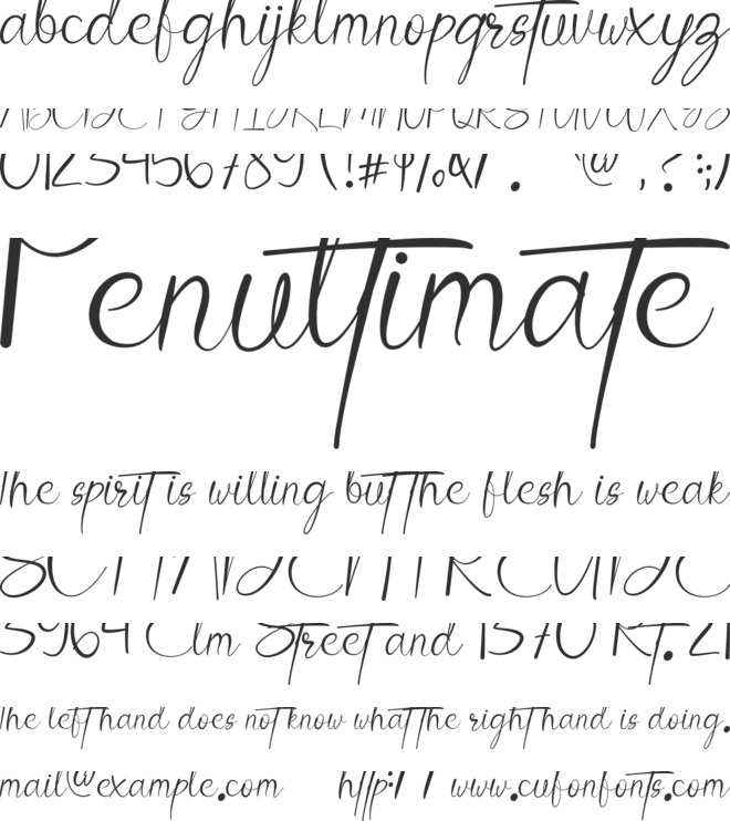 Angelina font preview