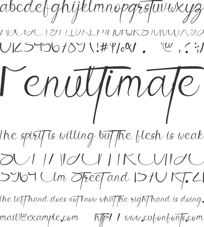 Angelina font preview