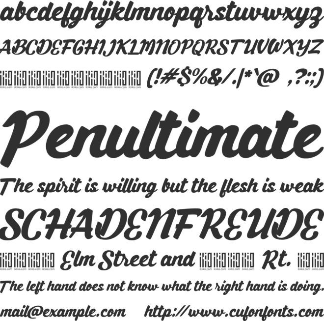 Bluntype font preview