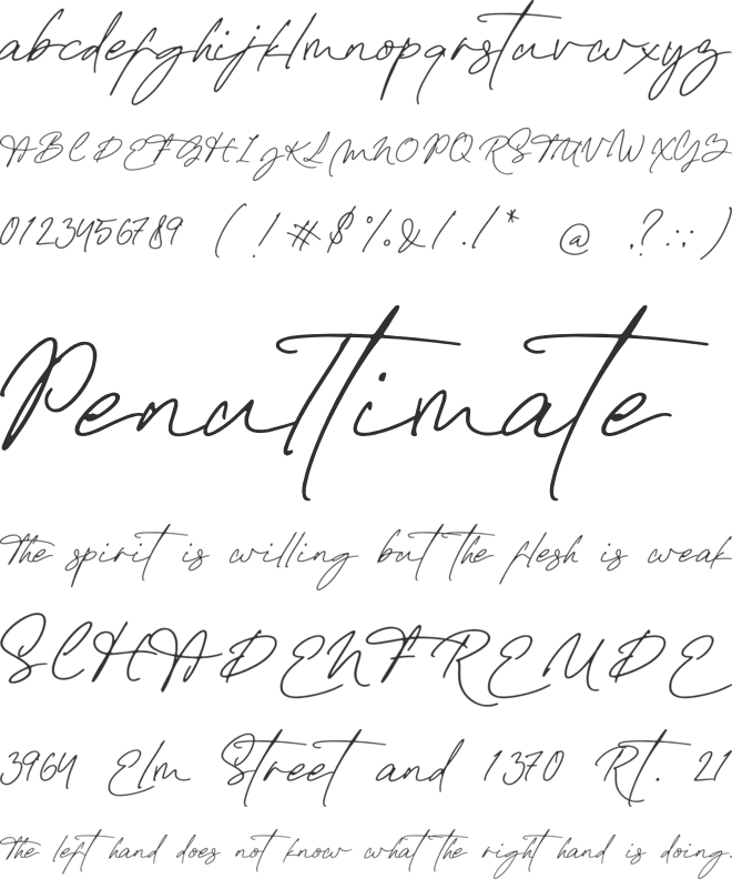 Emily Yorke font preview