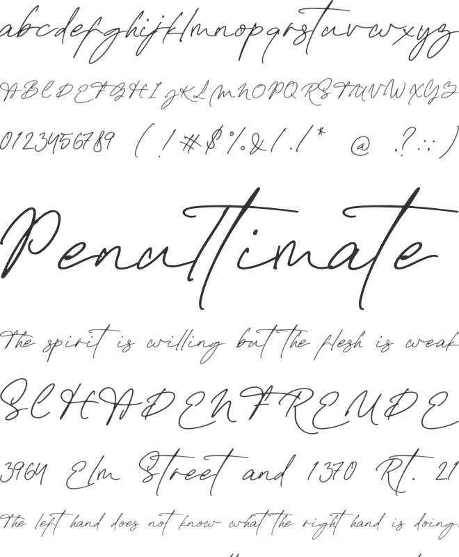Emily Yorke font preview