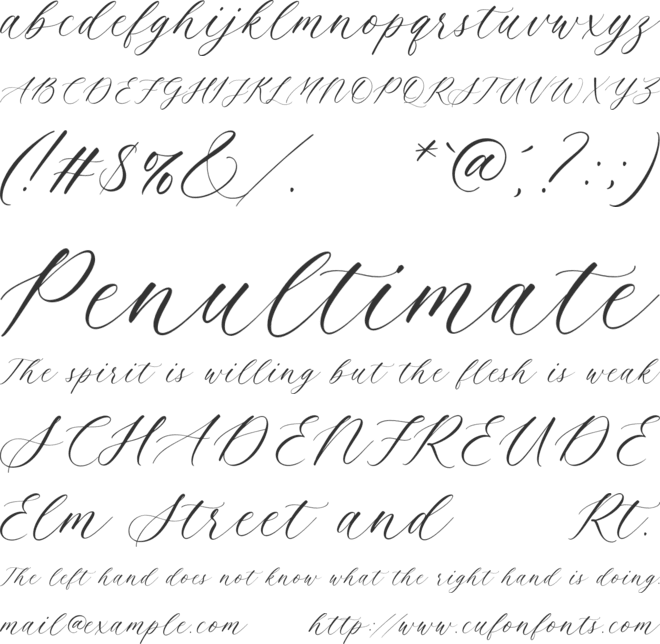 Beloved Sandra font preview