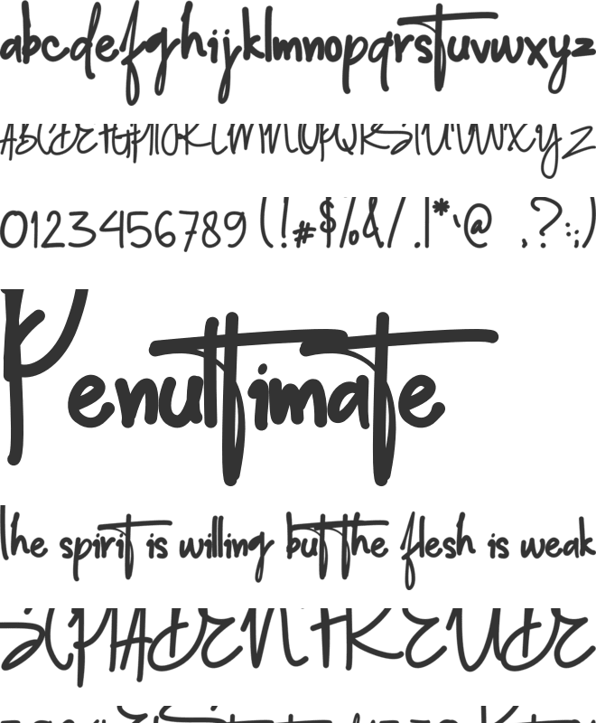 Signature Men font preview
