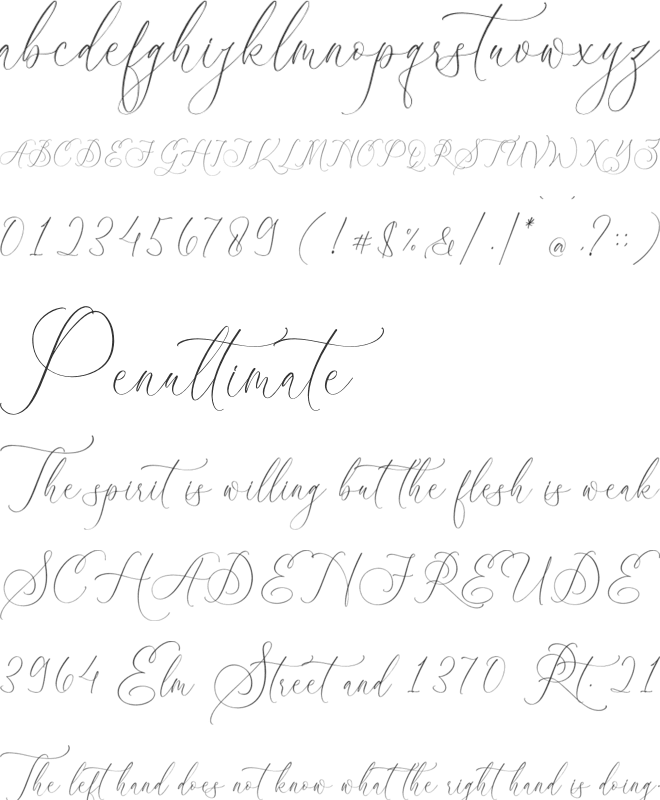 athena modern font preview