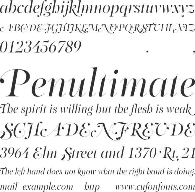 PF Regal Swash Pro font preview