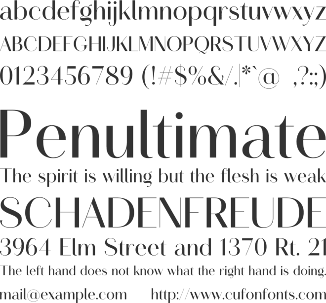 Royal Ambition Sans font preview