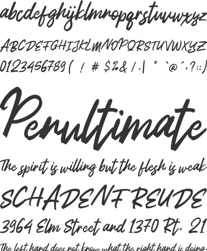 Anatomi font preview