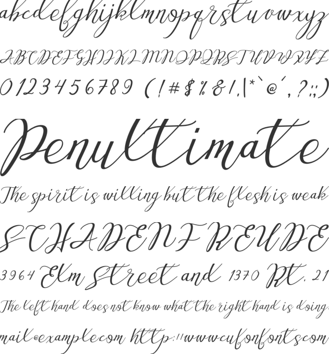 Ameston font preview