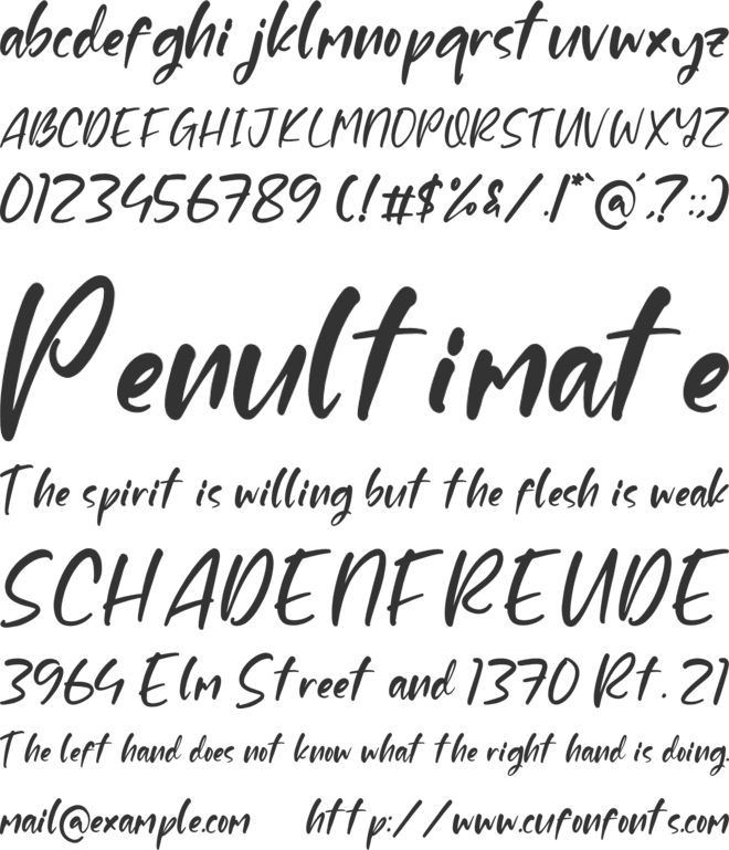 Tonicha font preview