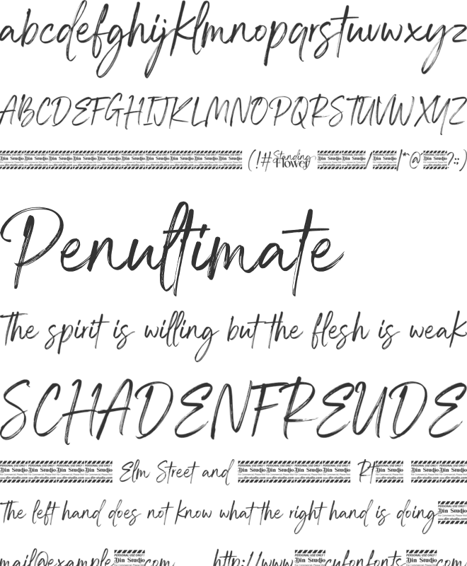 Standing Flower Script Personal Use font preview