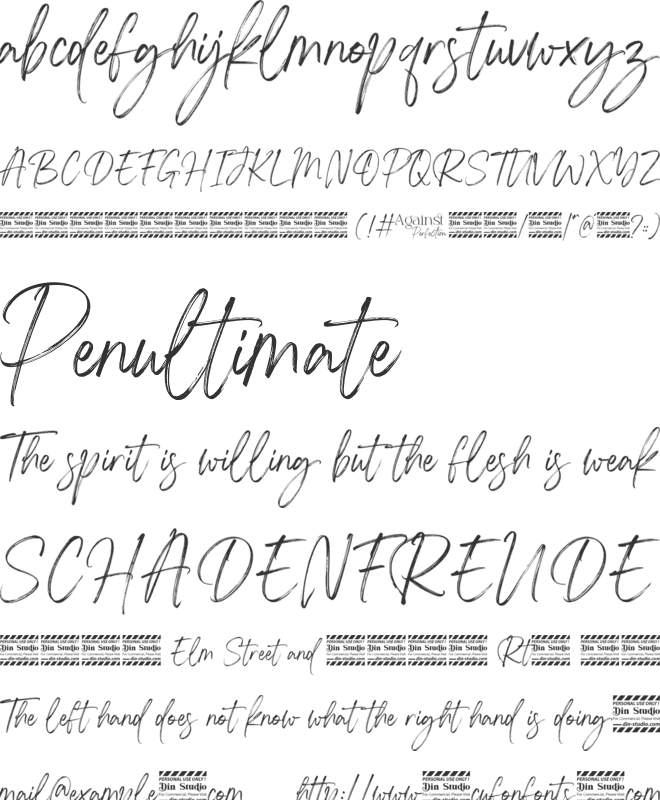 Against Perfection Script Personal Use font preview