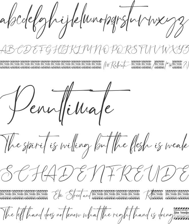 Rallocate Personal Use font preview