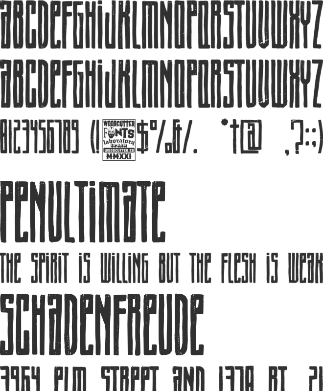 Winter Resistance font preview
