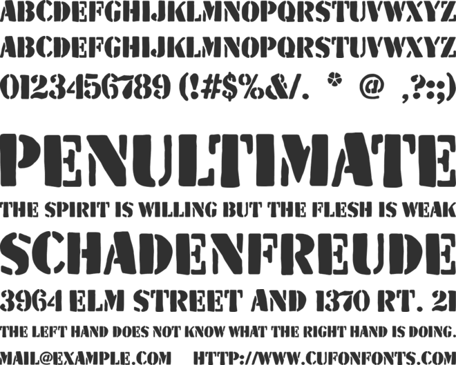 The Wild Team font preview