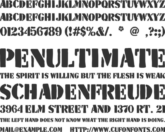 The Wild Team font preview