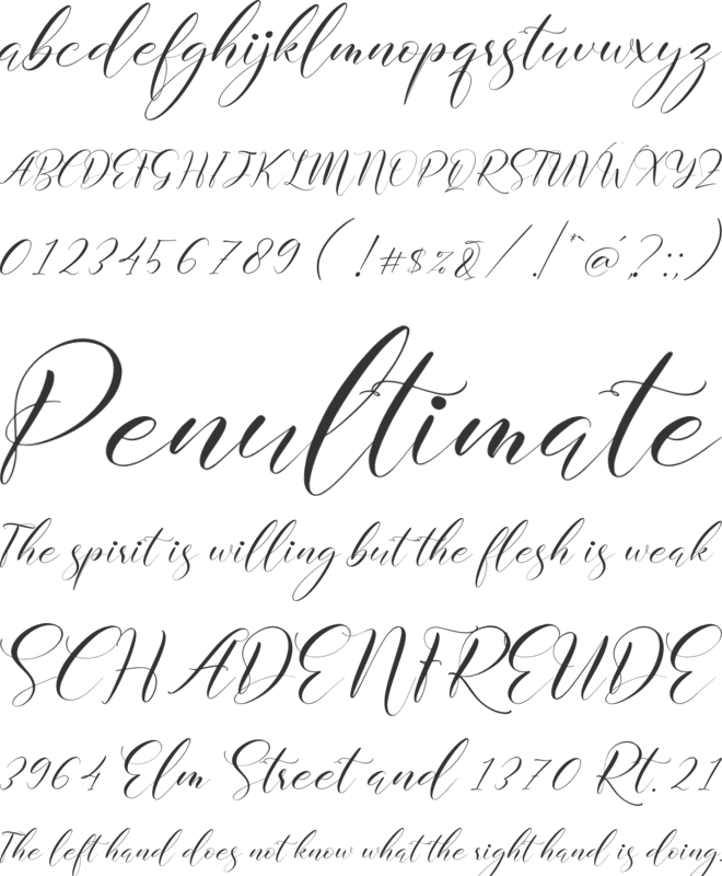 Delmore font preview