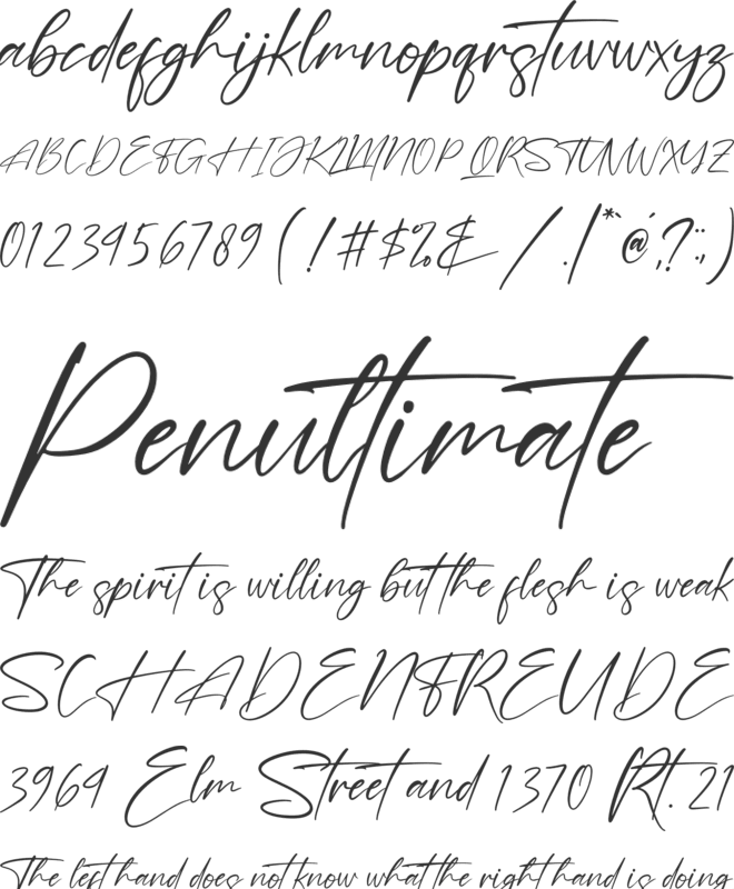 Futerdam Knight font preview