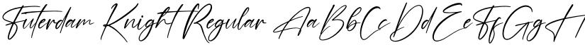 Futerdam Knight font download