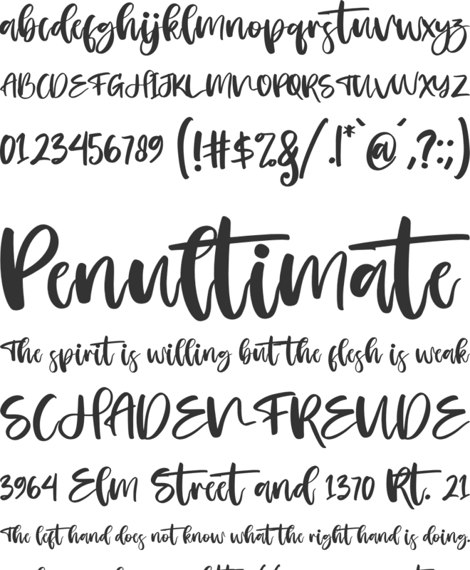 Roseday font preview