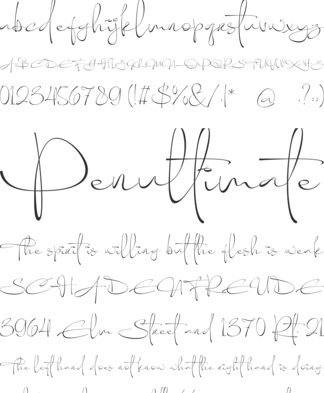 Omed Brush font preview