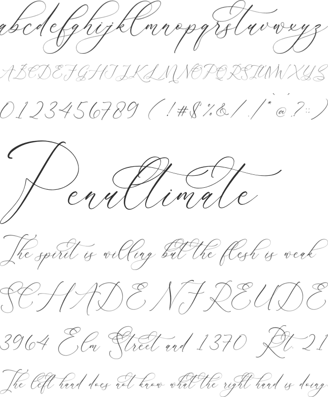 Relatta Saidnolia Script font preview