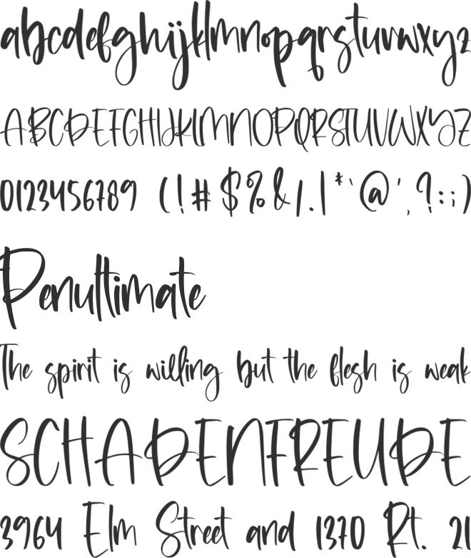 Bedroom Diaries font preview