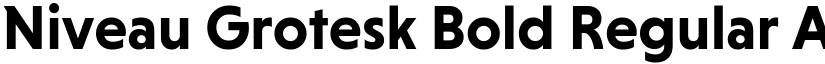 Niveau Grotesk Bold Regular font
