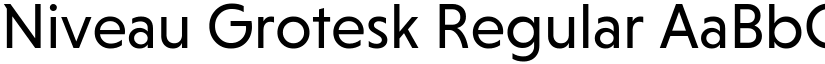 Niveau Grotesk Regular font