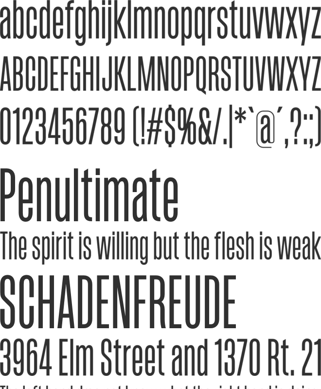 Sorren-Medium font preview