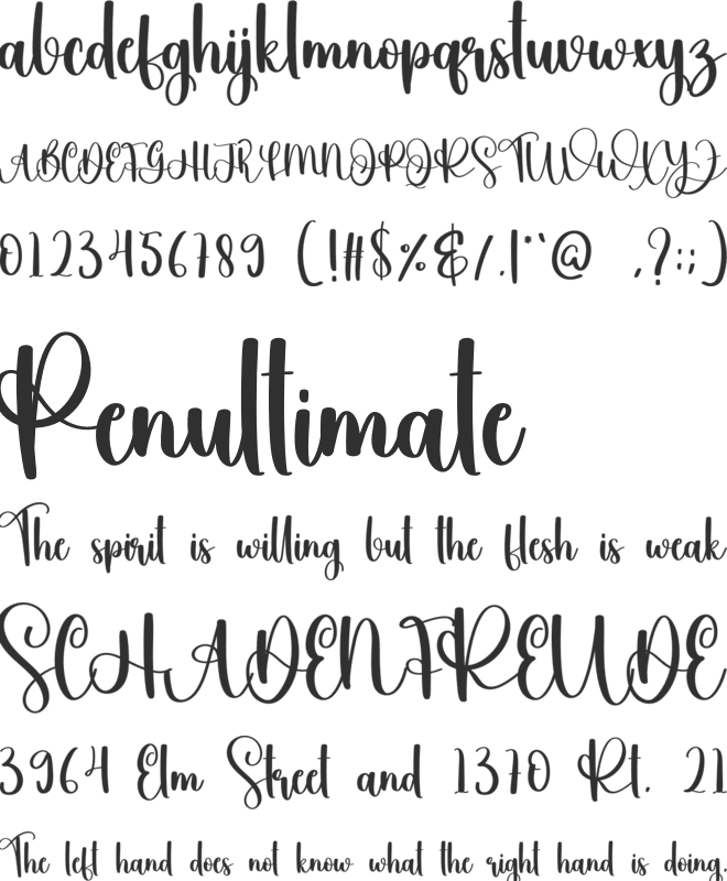 Vacattion font preview
