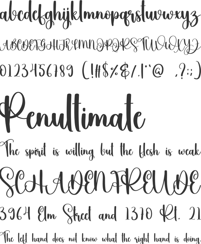 Vacattion font preview